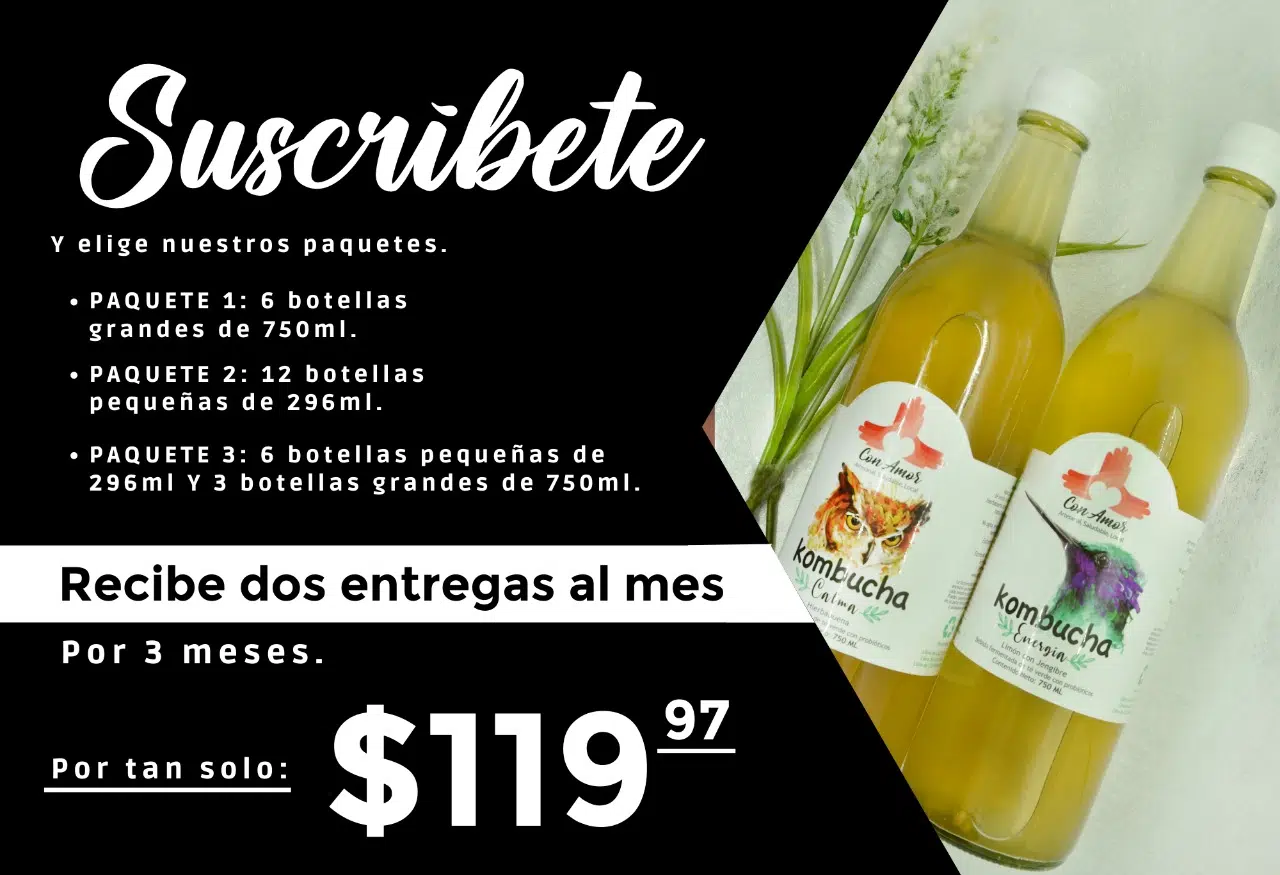 Kit Inicio Kombucha Scoby + Cultivo Haz Tu Bebida Probiótica